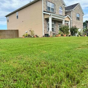 yard service by Osment Lawn Care reviewed on August 15, 2025