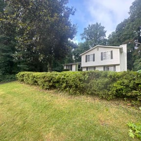 Bush Trimming by LD Brown Landscaping And Pressure Washing reviewed on August 19, 2025