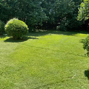 grass cutting by Marshall Lawn Care, LLC reviewed on May 19, 2025