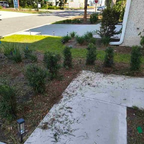 Bush Trimming by Green Earth Lawn and snow LLC reviewed on June 18, 2026
