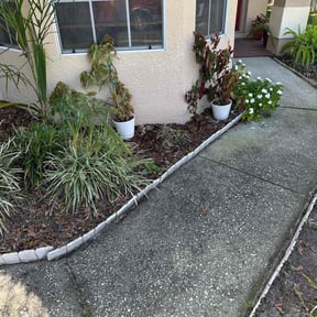 Flower Bed Weeding by SureStep Quality Services reviewed on August 15, 2025