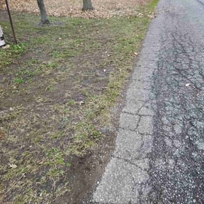 Leaf Removal by Design Cuts Landscaping LLC reviewed on November 23, 2025