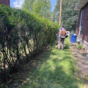 Bush Trimming by Alamow YardCutters reviewed on August 20, 2025