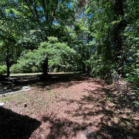 Leaf Removal by E and J  landscape and Lawns reviewed on May 29, 2026