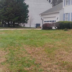 Leaf Removal by Family Traditions Lawn Care reviewed on November 20, 2025