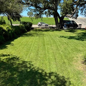 yard service by ChinaCat Landscaping reviewed on August 20, 2025
