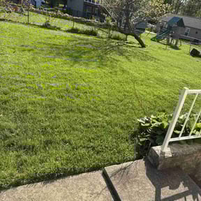 grass maintenance by Bubbas yard care reviewed on October 5, 2023