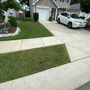 Lawn Treatment by  reviewed on October 21, 2025