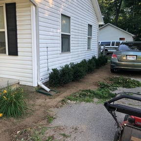 Bush Trimming by Loop's Landscaping reviewed on August 18, 2025