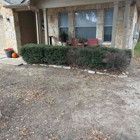 Bush Trimming by Exquisite Lawn &amp; Grounds reviewed on November 22, 2025