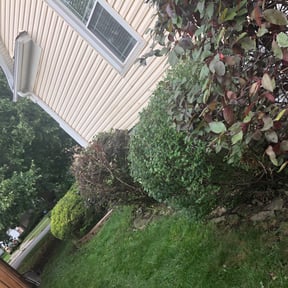 Bush Trimming by Mother May I lawn care reviewed on August 21, 2025