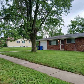 landscaping by Cut and Go reviewed on August 21, 2025