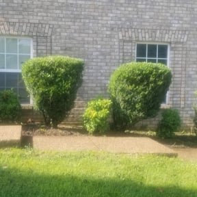 Bush Trimming by Ashmon Landscaping reviewed on August 16, 2025