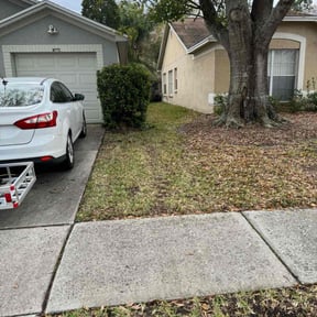 Leaf Removal by LEL landscape reviewed on August 17, 2025