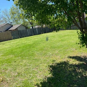 landscape maintenance by A+ Lawn Services reviewed on November 20, 2025