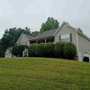 Bush Trimming by Procutz Landscaping LLC reviewed on October 18, 2025