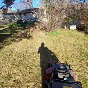 Leaf Removal by McCluskey Lawn and Landcare LLC. reviewed on November 21, 2025