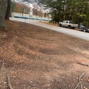 Leaf Removal by ANDES PRO SERVICES LLC reviewed on November 23, 2025