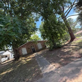 Leaf Removal by Crème De La Crème reviewed on September 19, 2025