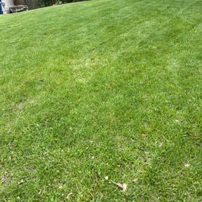 yard maintenance by ShiftChange LLC Lawn Service reviewed on August 20, 2025