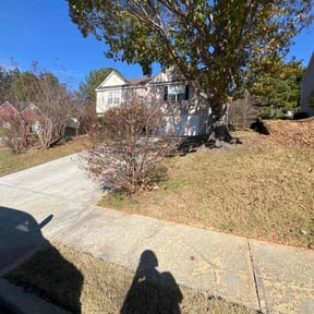 Leaf Removal by NEW CREATION LAWN PROFESSIONALS reviewed on December 13, 2025