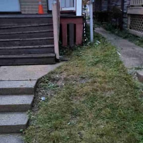 Bush Trimming by Oak Landscaping reviewed on August 19, 2025