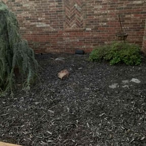 Flower Bed Weeding by Ginger Lawn Care reviewed on October 23, 2025