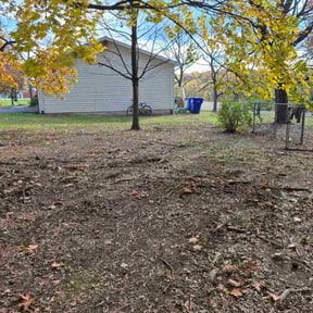 Leaf Removal by All season landscaping reviewed on November 10, 2025