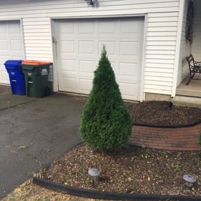 Bush Trimming by Aparicio Lawn Care reviewed on August 18, 2025