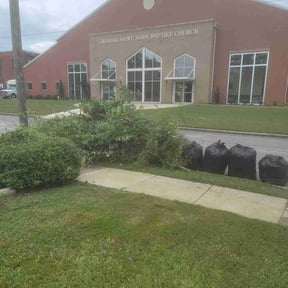 Bush Trimming by Mikes Landscaping reviewed on April 17, 2024