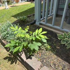 Flower Bed Weeding by Bubbas lawn service/car reviewed on April 25, 2026