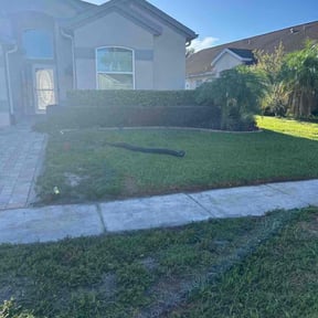 Bush Trimming by Sir Knights Lawn Care reviewed on August 15, 2025