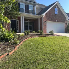 turf care by Happy plantsman reviewed on August 18, 2025