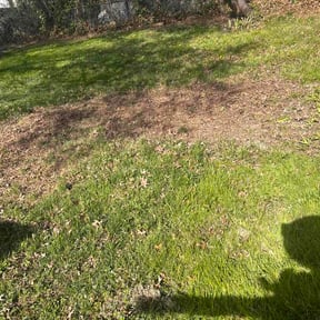 Leaf Removal by Nature Garden reviewed on June 8, 2026