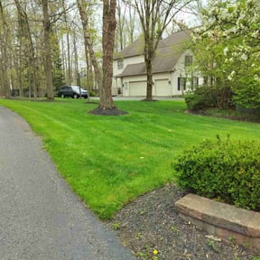 landscape maintenance by DLAWN SERVICE LLC reviewed on April 8, 2024