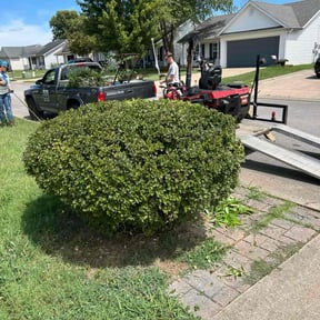 Bush Trimming by Willam Bonavida reviewed on November 20, 2025