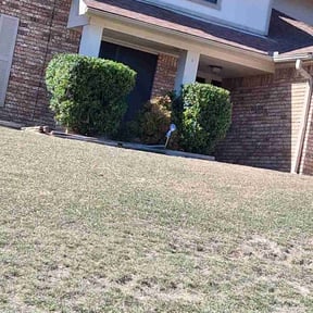 Bush Trimming by Four Seasons Landscape reviewed on November 28, 2025