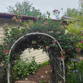 Bush Trimming by Gianlawncare reviewed on May 30, 2026