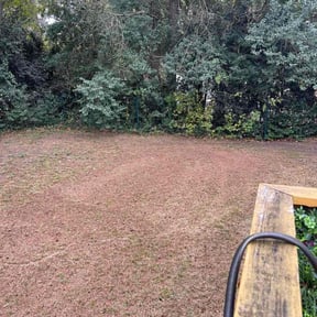 Leaf Removal by MJ Lawn reviewed on September 2, 2026