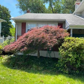Bush Trimming by L &amp; L PRESSURE WASHING LLC reviewed on June 9, 2026