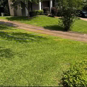 yard service by Keepn It Green reviewed on August 20, 2025