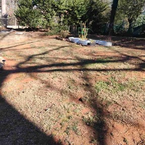 Leaf Removal by Mozelle Lawncare reviewed on August 3, 2026