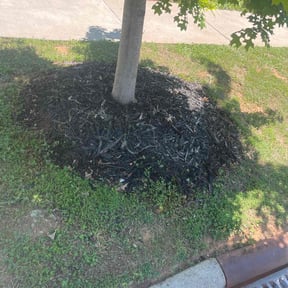 Flower Bed Weeding by Mr.Mow It All reviewed on August 15, 2025