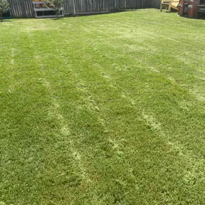 grass cutting by Generation Handy LLC reviewed on September 7, 2023