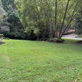 landscaping services by lazer lawns reviewed on August 13, 2025