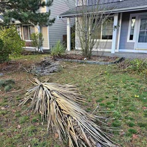 Bush Trimming by Chance Landscaping LLC reviewed on April 5, 2024