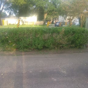 Bush Trimming by Landscaping by Jay reviewed on August 21, 2025