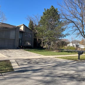 Leaf Removal by Forest Green Lawn &amp; Landscaping, LLC reviewed on April 26, 2024