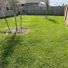 yard work by LaserEdge Mowing reviewed on November 20, 2025