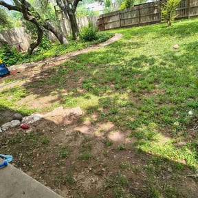Leaf Removal by GreeniT Care.co reviewed on June 3, 2026